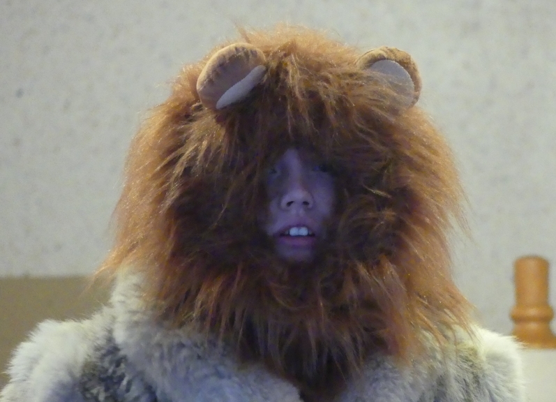 La Belle et la Bête 17