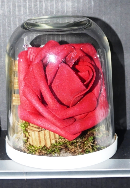 La Belle et la Bête 53