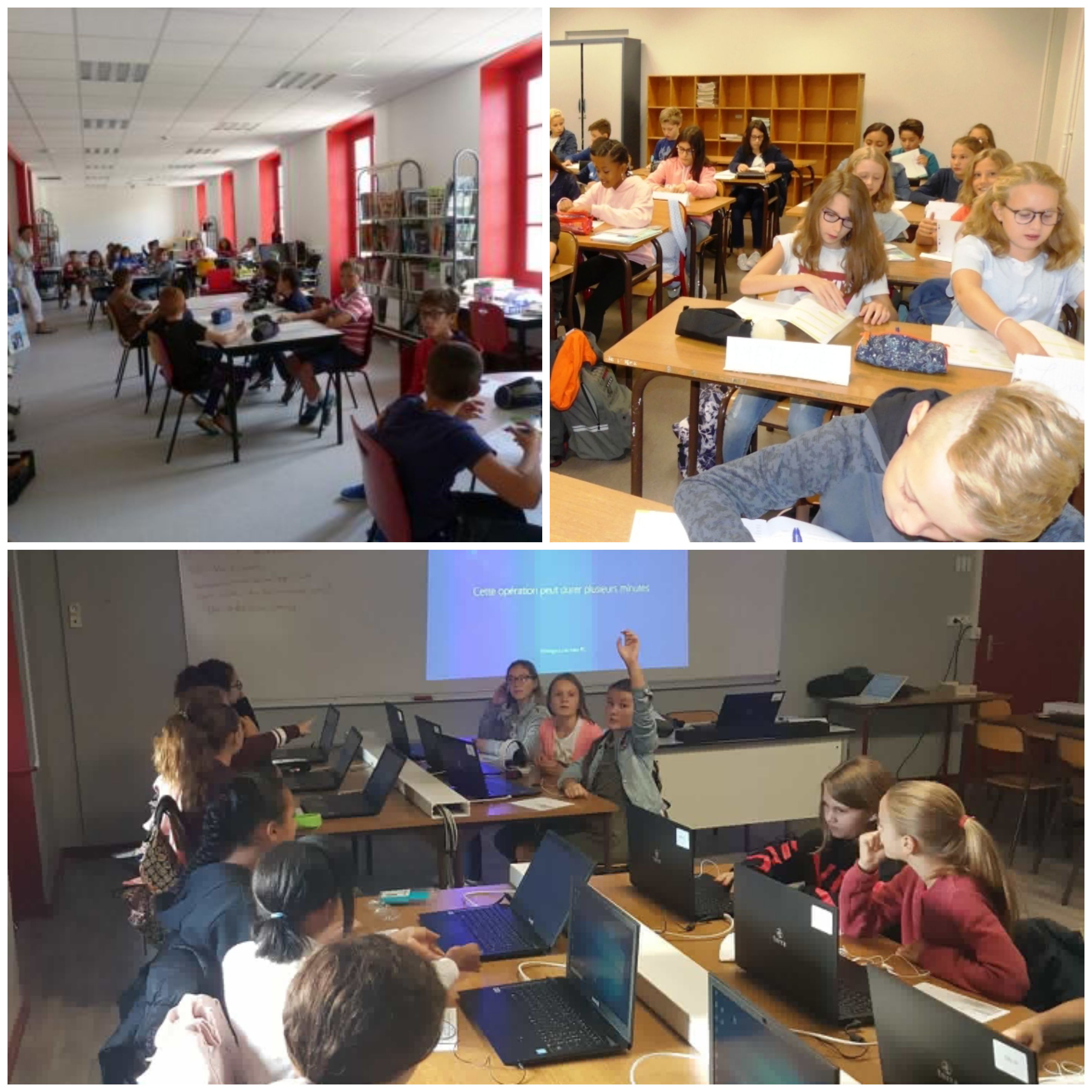 Caroussel entrée site