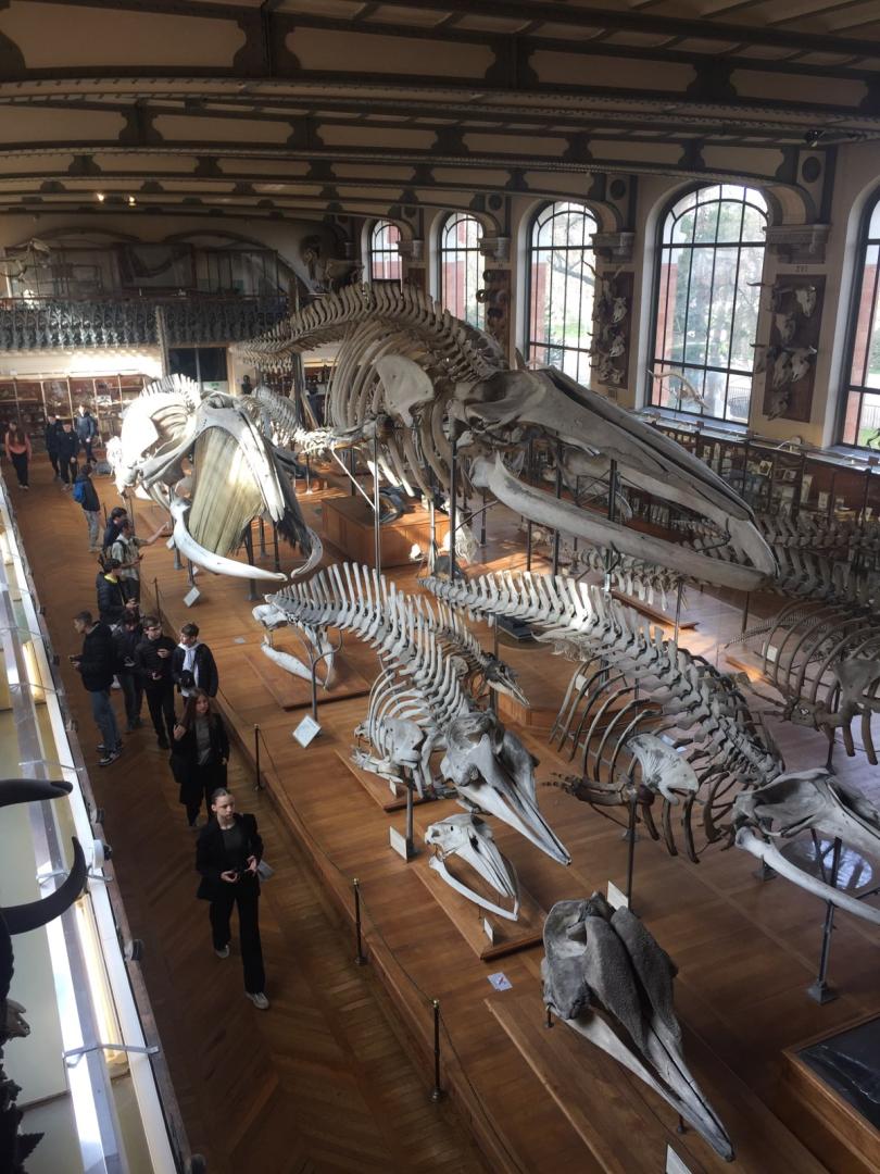 -6248356778621813007