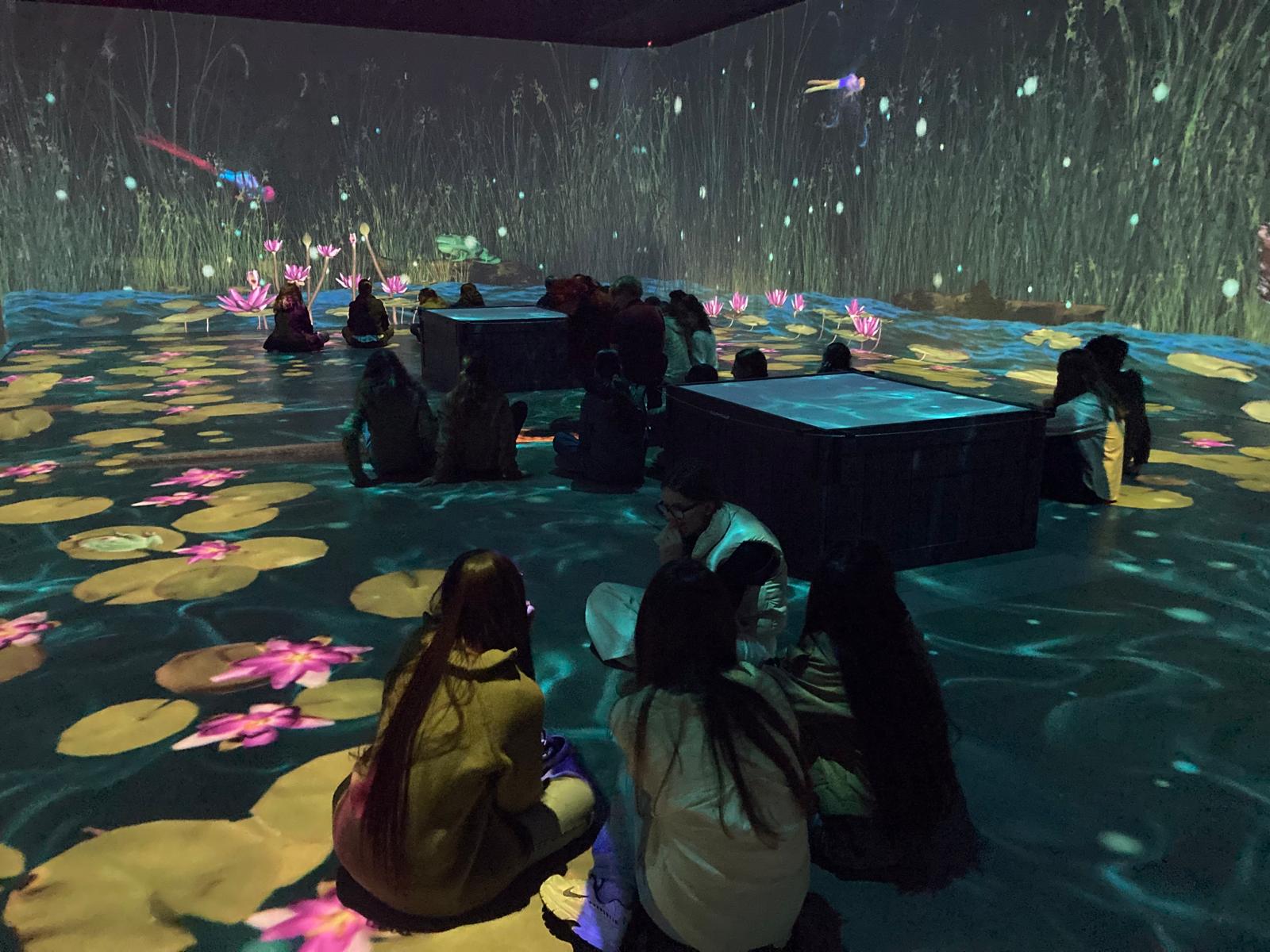 Hotel des lumières 5ème 2026